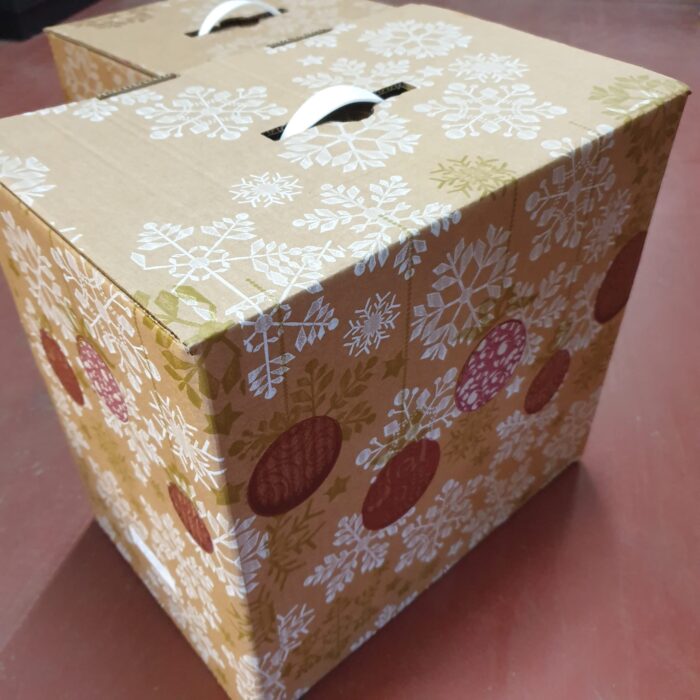 CAJA LOTE NAVIDEÑO 12 BOTELLAS C/ASA