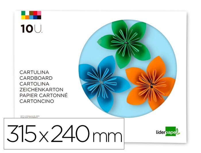 BLOC TRABAJOS MANUALES CART 240X315MM 10
